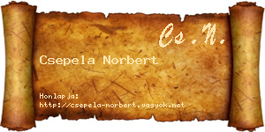 Csepela Norbert névjegykártya