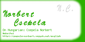 norbert csepela business card